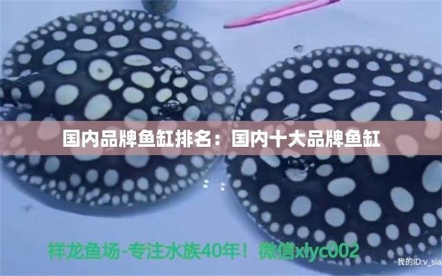 全國十大品牌魚缸（2024年全國十大品牌魚缸） 全國十大品牌魚缸（2024年全國十大品牌魚缸） 龍魚百科 第6張