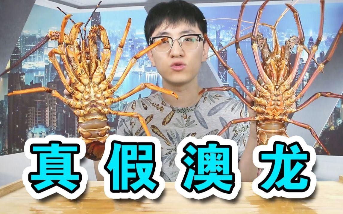 如何區(qū)分紅龍和澳龍？