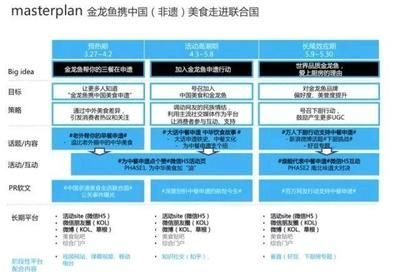 金龍魚營銷案例分析ppt（金龍魚品牌營銷案例分析） 金龍魚營銷案例分析ppt（金龍魚品牌營銷案例分析） 龍魚百科 第3張