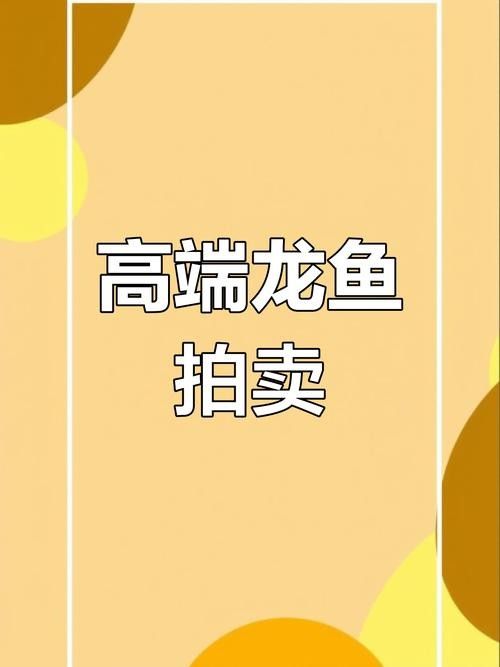 龍魚什么地方購買便宜