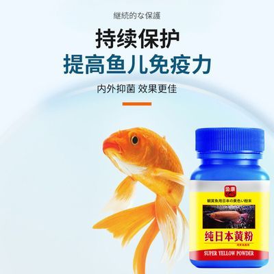 龍魚專用藥物品牌對比：龍魚專用藥品牌