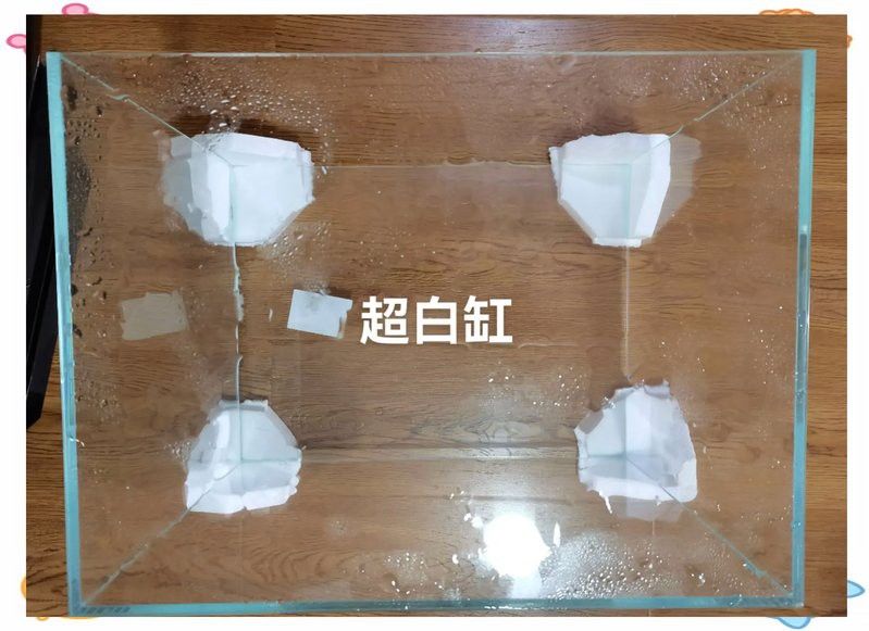 推薦幾款適合彩虹雷龍魚的魚缸