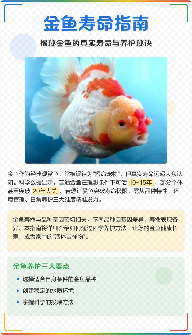 黑龍睛金魚的壽命有多長？