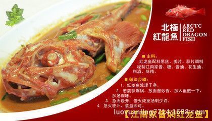 龍魚水質檢測哪些不合格原因：龍魚水質檢測不合格的原因