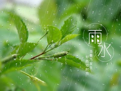 雨水可以養龍魚嗎：雨水可以養龍魚嗎，
