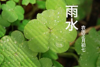 雨水可以養龍魚嗎：雨水可以養龍魚嗎，