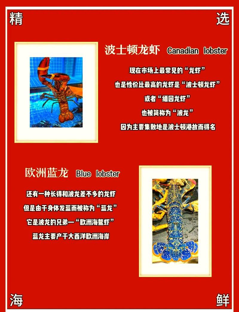 藍(lán)色的龍魚(yú)多少錢(qián)一斤圖片