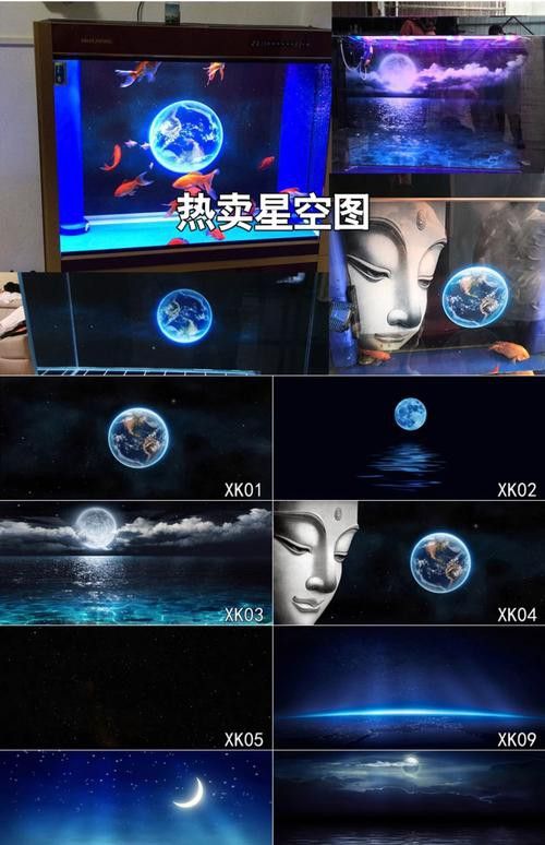 有哪些龍魚(yú)缸背景圖風(fēng)格