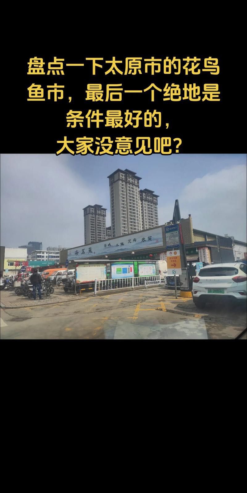 太原龍魚生活館