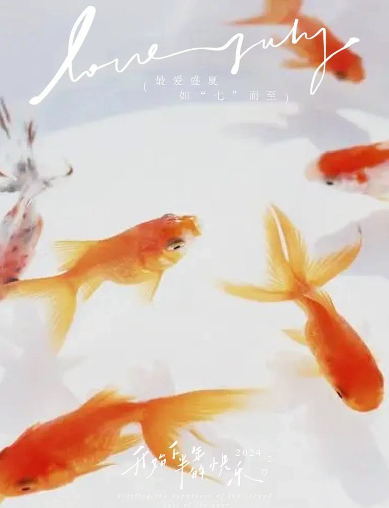 屬龍的人適合養(yǎng)幾條魚(yú)？