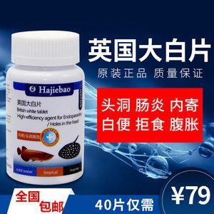 龍魚腸炎的用藥（龍魚的腸炎是由環境引起的應激性腸炎）