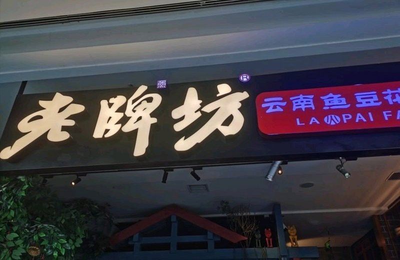 金沙江龍魚百度百科