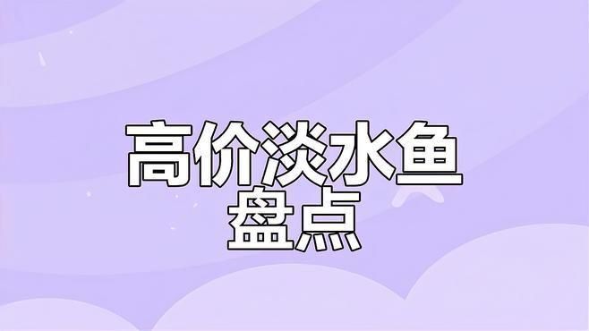 什么魚最值錢