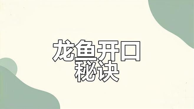 龍魚不吃食怎么開口