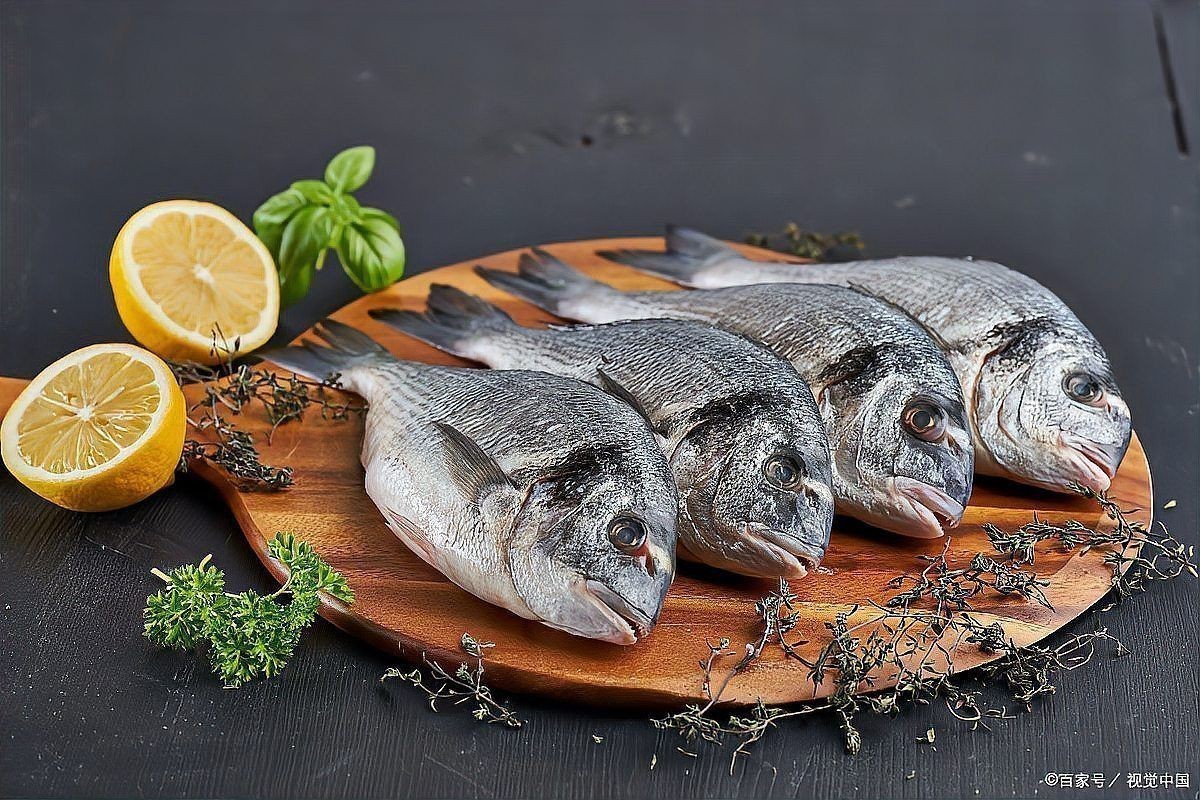 金鯛魚是什么檔次的魚