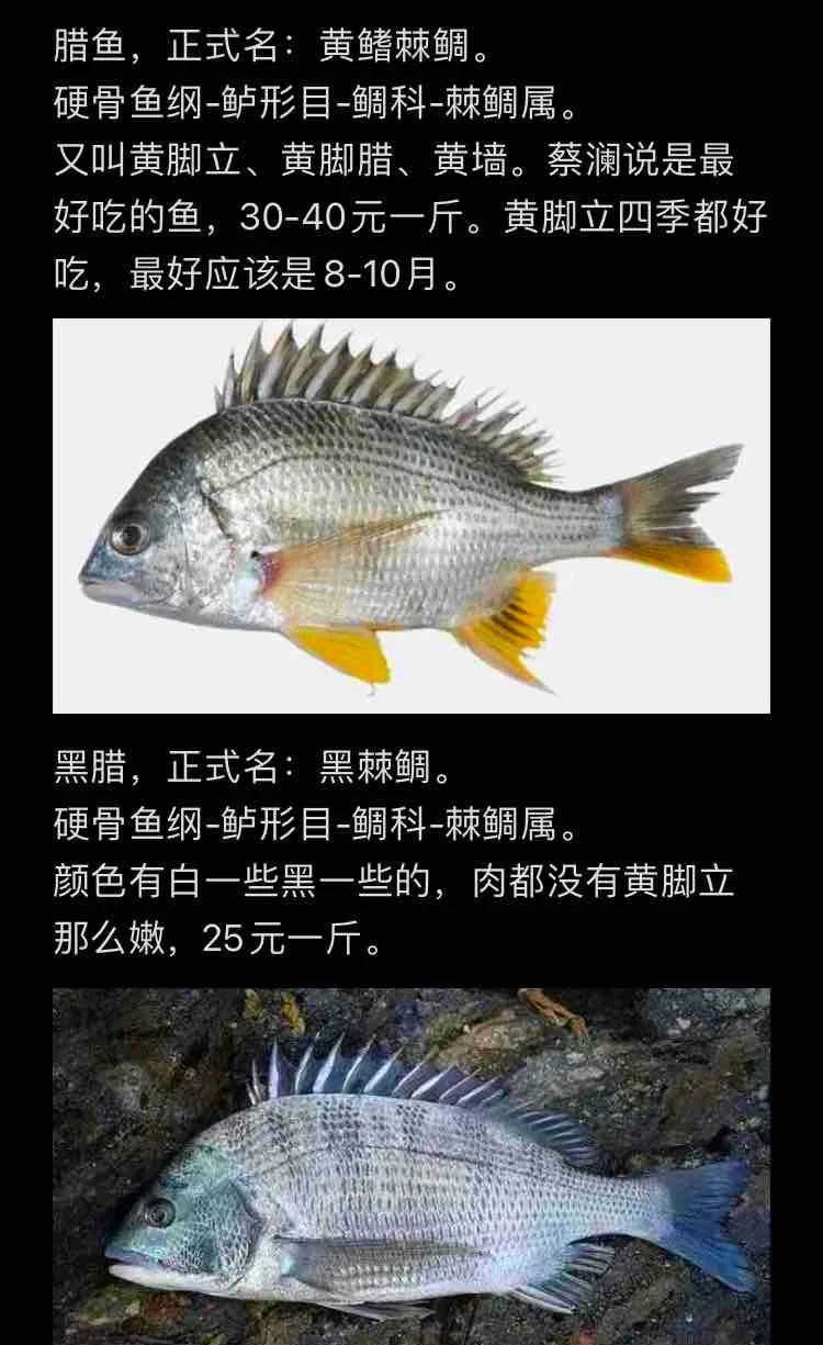 金鯛魚是什么檔次的魚