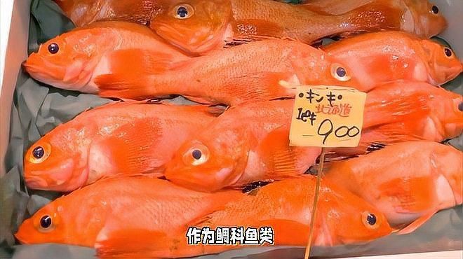 金鯛魚是什么檔次的魚
