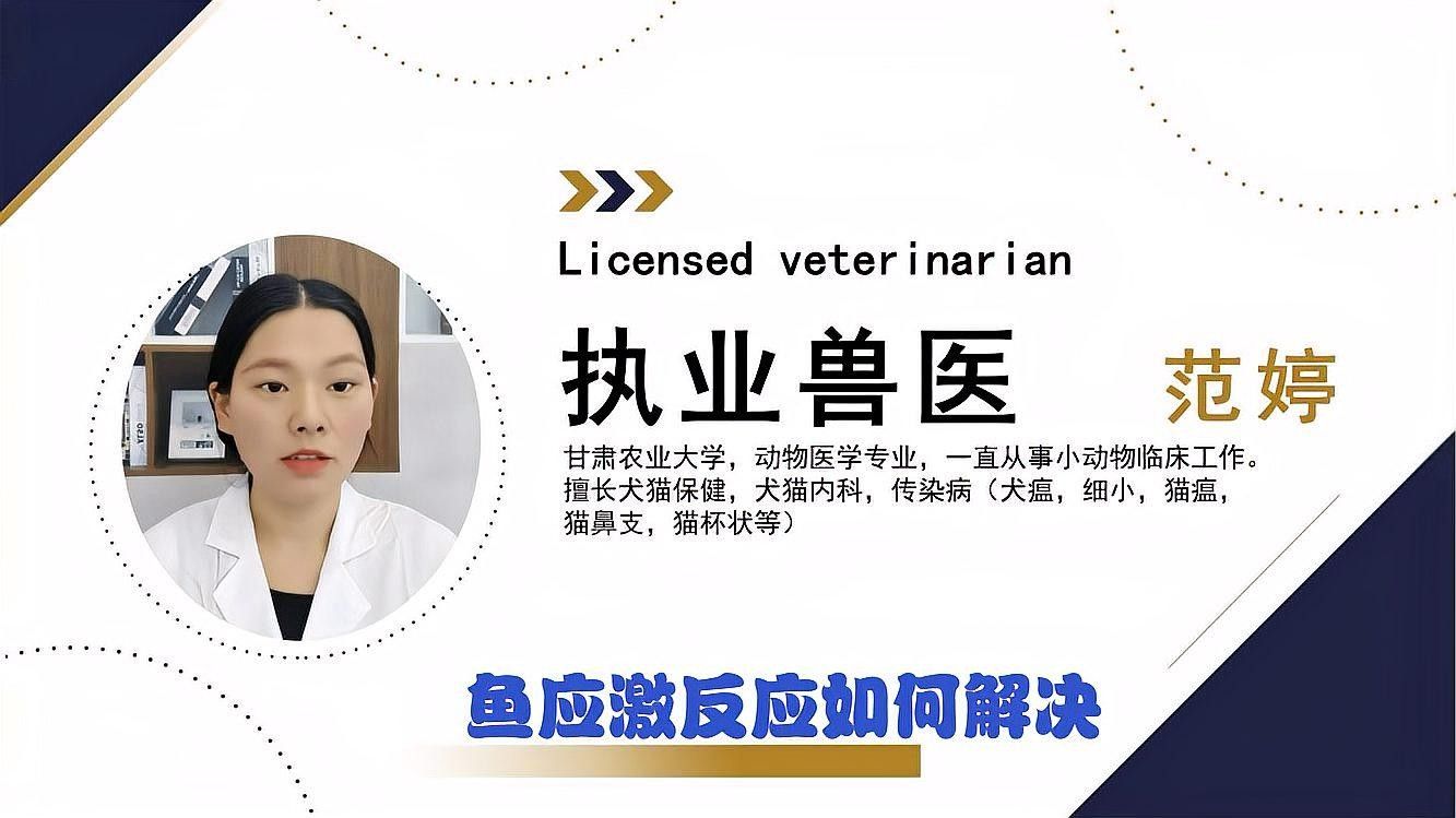 龍魚出現(xiàn)應(yīng)激反應(yīng)應(yīng)該如何處理？