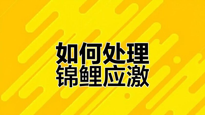龍魚出現(xiàn)應(yīng)激反應(yīng)應(yīng)該如何處理？