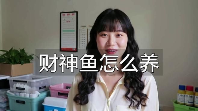 藍面財神魚的正確養法