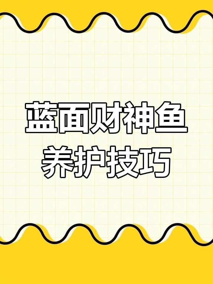 藍面財神魚的正確養法
