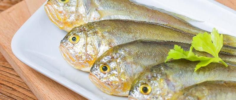 如何判斷紅龍魚是否缺乏營養？