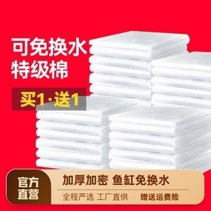 金龍魚用什么過濾材料好：養(yǎng)金龍魚時，如何選擇合適的過濾材料