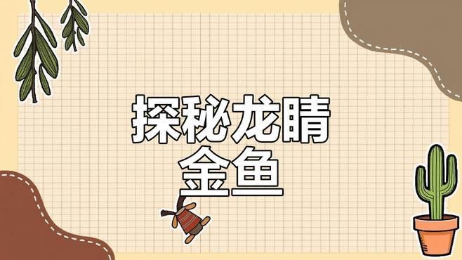 龍睛和蝶尾哪個更受歡迎？