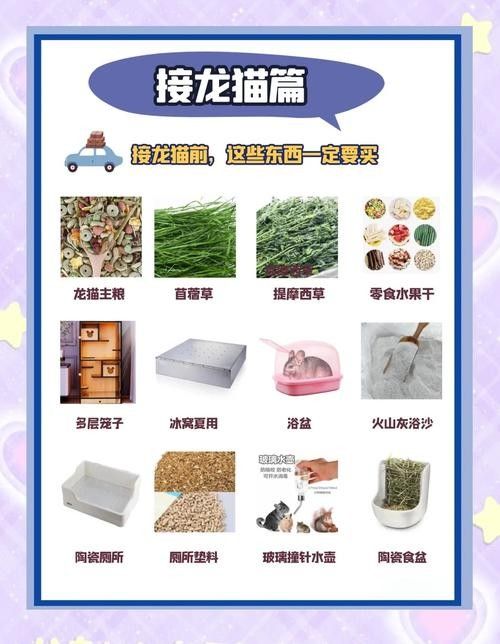 龍貓不吃主糧怎么辦