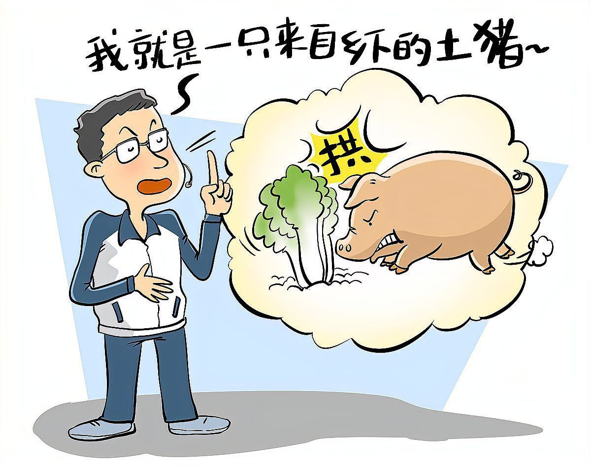 錦鯉專用飼料