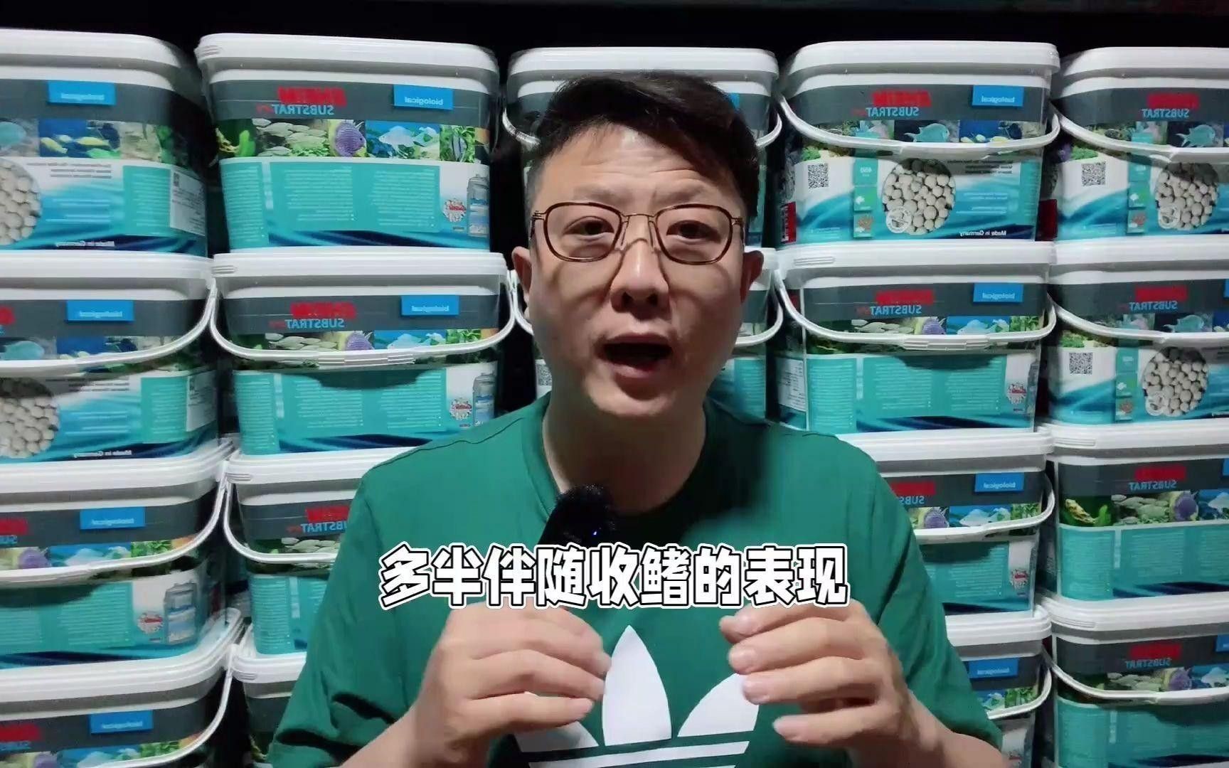 紅龍魚不游動如何急救？