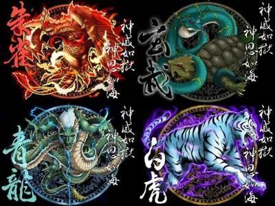 龍魚的配魚四大神獸是什么，：龍魚的配魚四大神獸