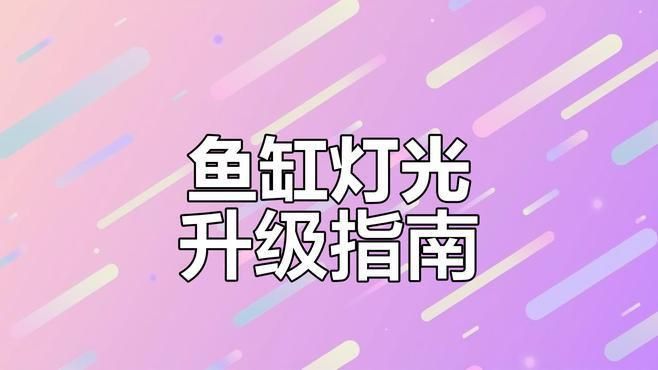 馬印魚缸燈增艷最簡單三個步驟