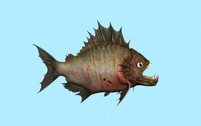 一條食人魚可以與龍魚混養嗎：食人魚與龍魚混養的注意事項，