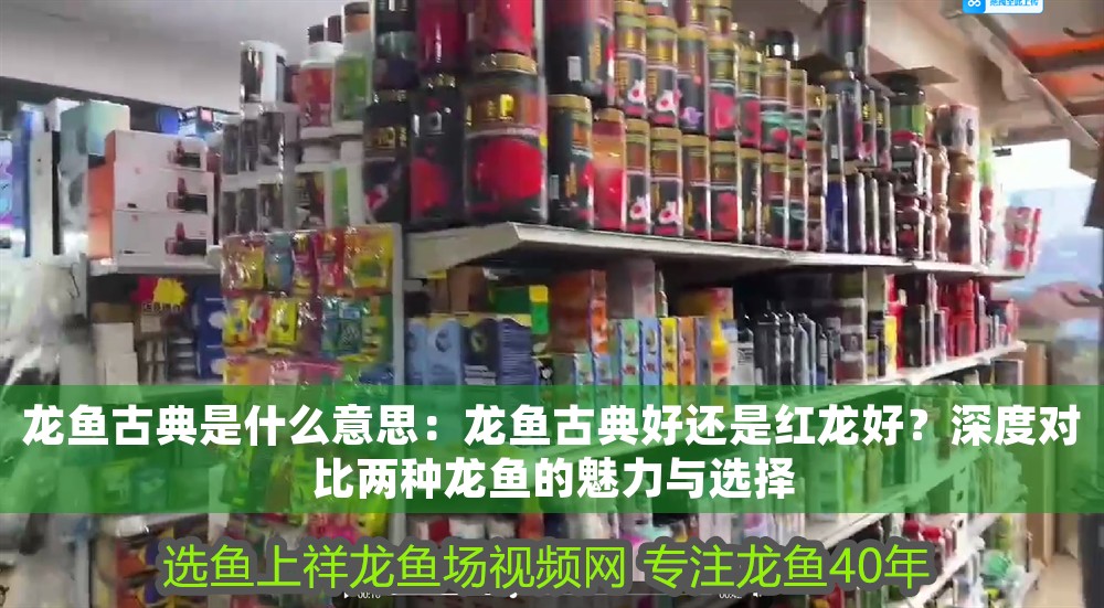 龍魚古典是什么意思：龍魚古典好還是紅龍好？深度對比兩種龍魚的魅力與選擇