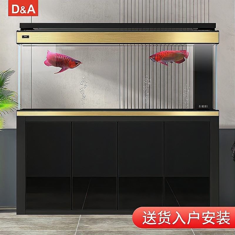 如何科學喂養龍魚視頻：科學喂養龍魚，打造完美水族環境