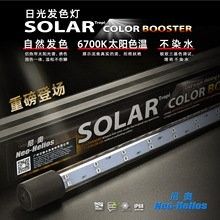 龍魚缸頂燈一般多少錢