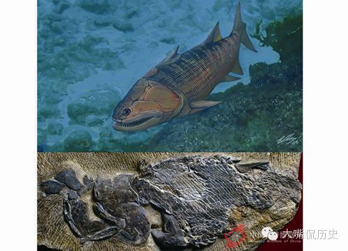 龍魚化石收藏：魚龍化石市場價值曾達到hkd390.00萬，科學研究的重要素材
