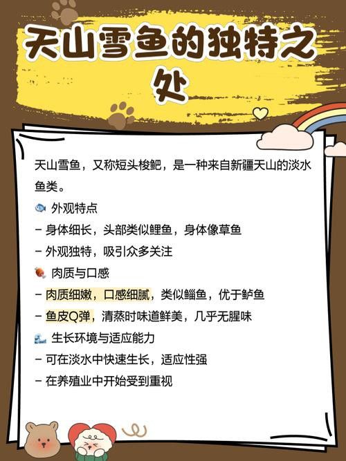 天山龍魚的做法竅門圖片