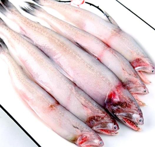 天山龍魚的做法竅門圖片