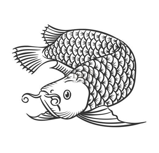 龍魚圖片 壁紙卡通