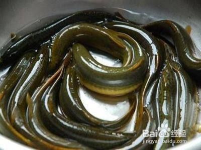 龍魚泥鰍去粘液，喂養(yǎng)龍魚時(shí)，泥鰍身上有一層黏液，可以幫助去除粘液