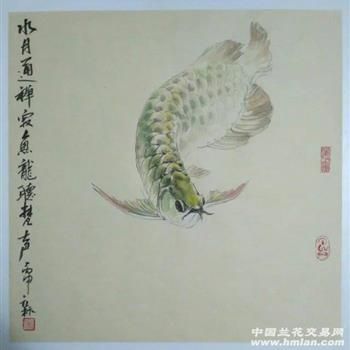金龍魚掛畫能不能放家中（金龍魚掛畫可以放置于家中的不同位置金龍魚掛畫的擺放禁忌）