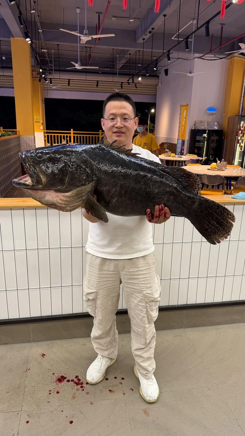 河北小伙吃金龍魚是真的嗎圖片
