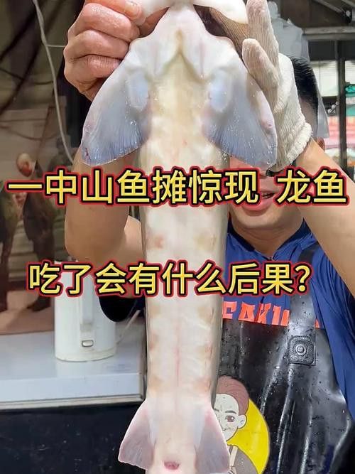 河北小伙吃金龍魚是真的嗎圖片