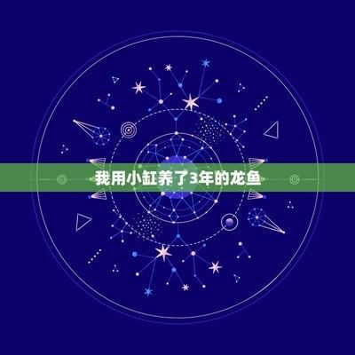 龍魚被壓制不吃食怎么辦：壓養的龍魚壓養的龍魚能長大嗎，壓養的龍魚能長大嗎