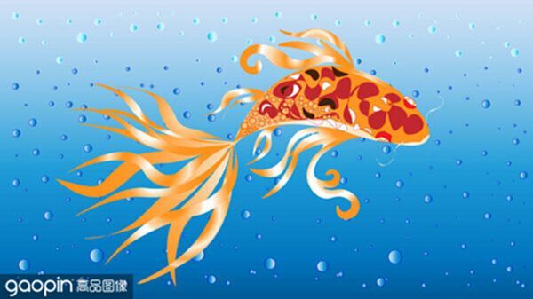龍魚的英文名叫什么名字：龍魚的英文名叫什么名字龍魚的英文名叫什么名字