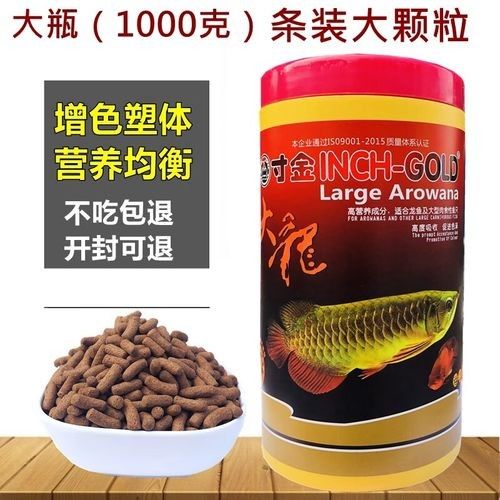冬天龍魚缸溫度多少合適(冬天魚缸溫度與室內溫度)
