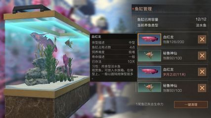 龍魚之城（世界龍魚錦標賽一條龍魚108萬元高價售出，引發網友熱議）
