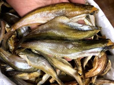 龍魚與黃魚區別？（龍魚與黃魚有什么區別）